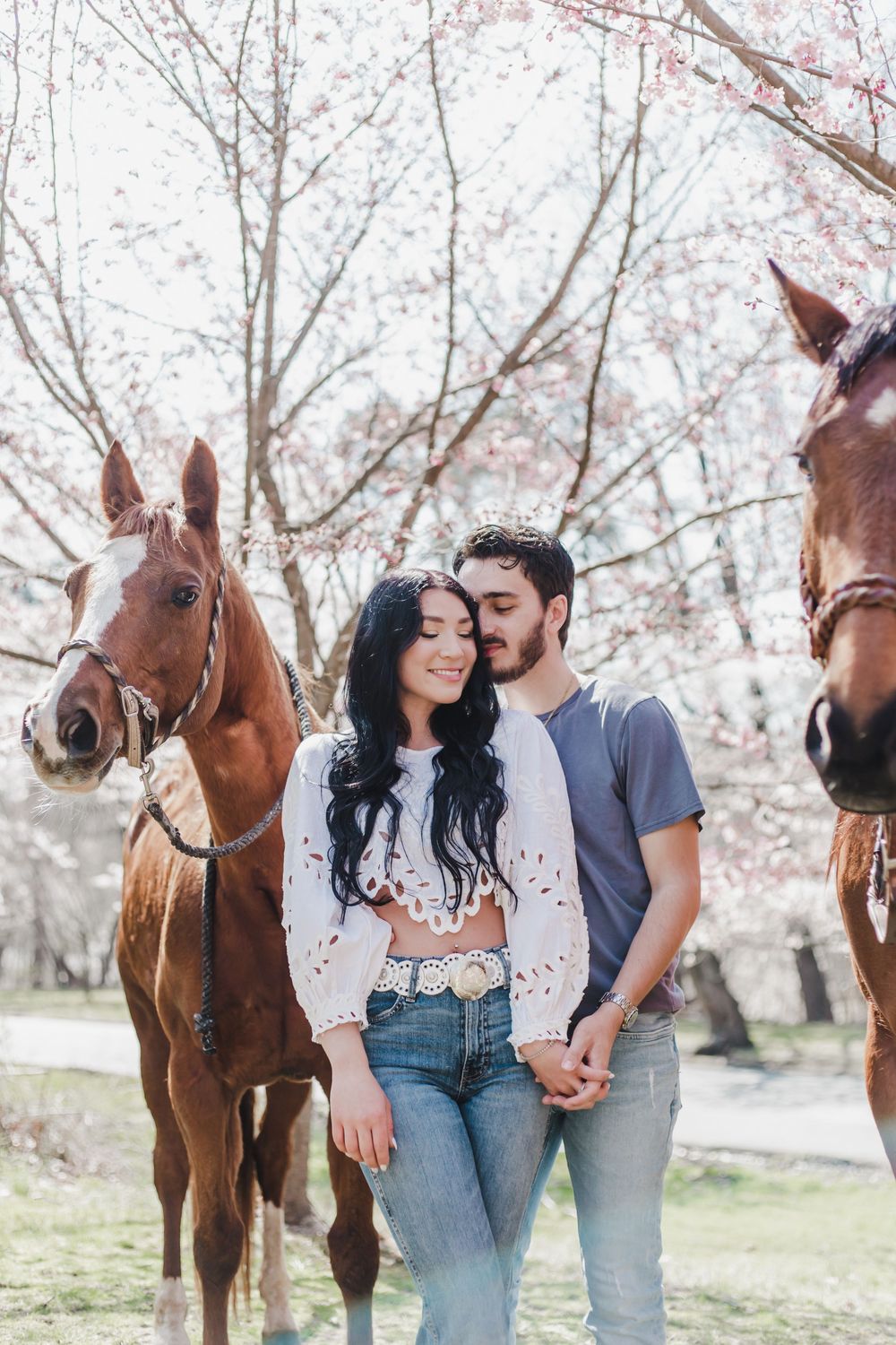 Romantic couple embraces between two horses under cherry blossom trees.