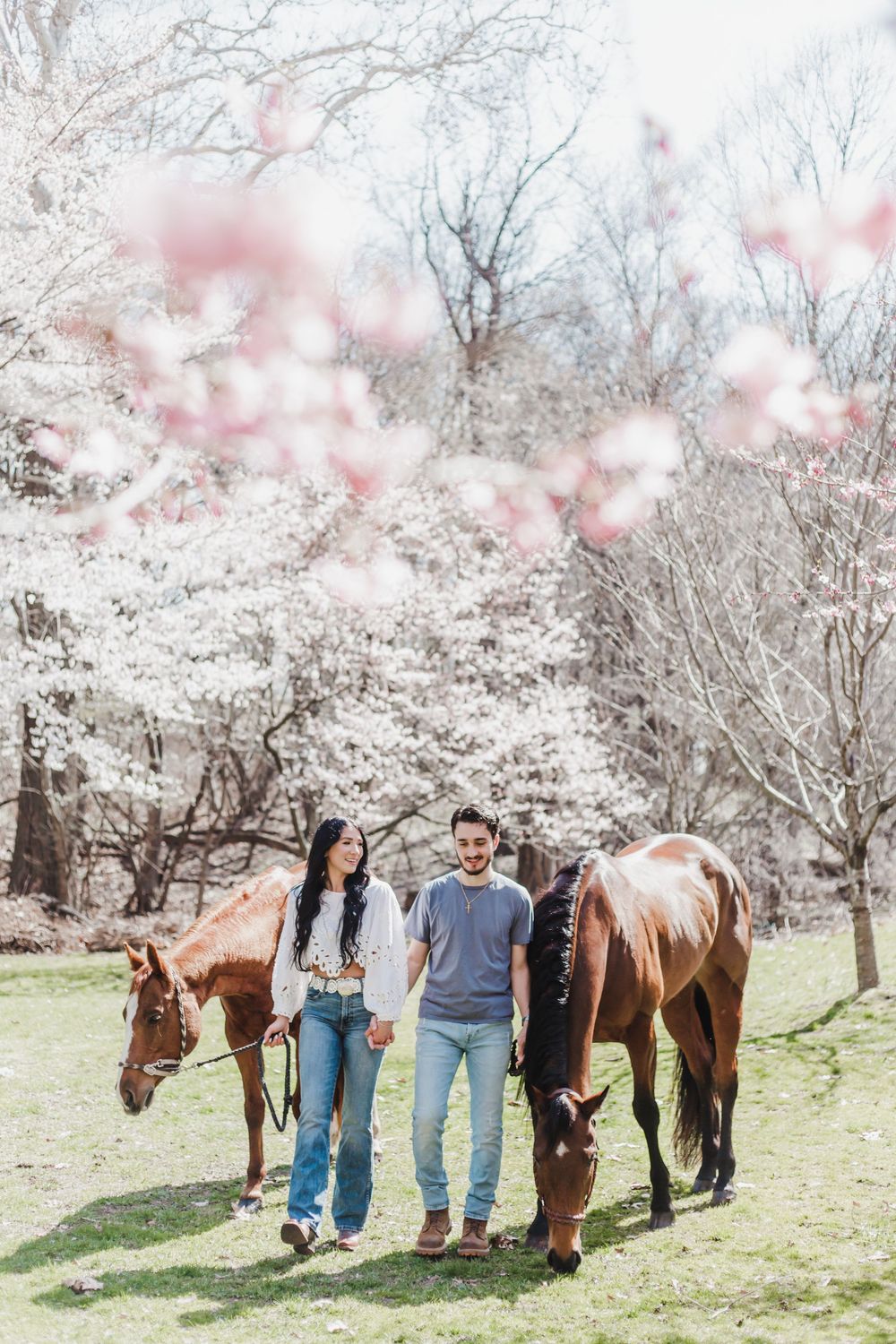 A group of horses stand in a spring meadow with cherry blossoms blooming overhead.