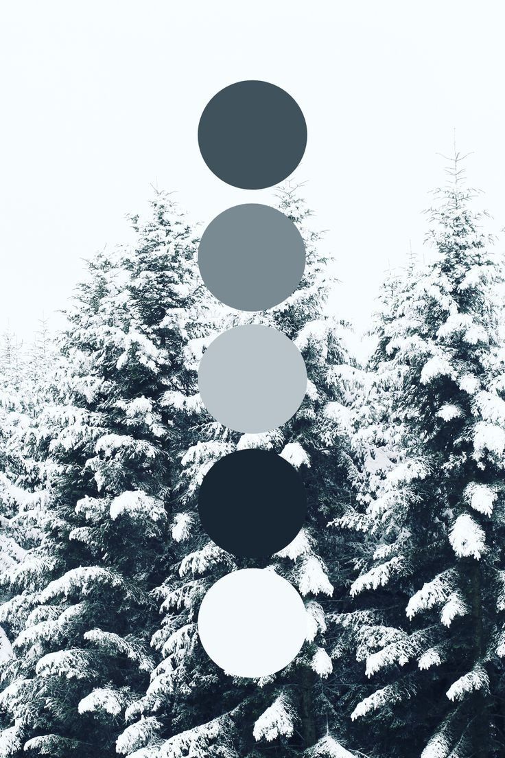 Five grayscale color dots arranged vertically over snow-covered evergreen trees.