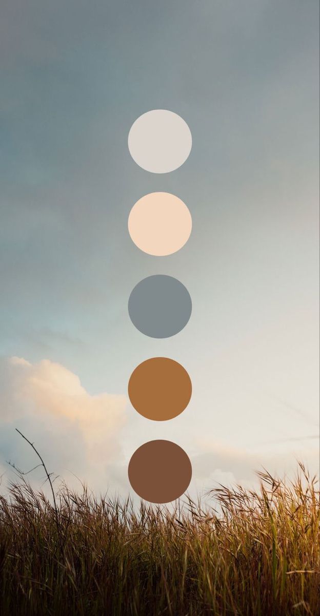Earth-toned color palette circles arranged vertically against a misty field landscape background at sunset.