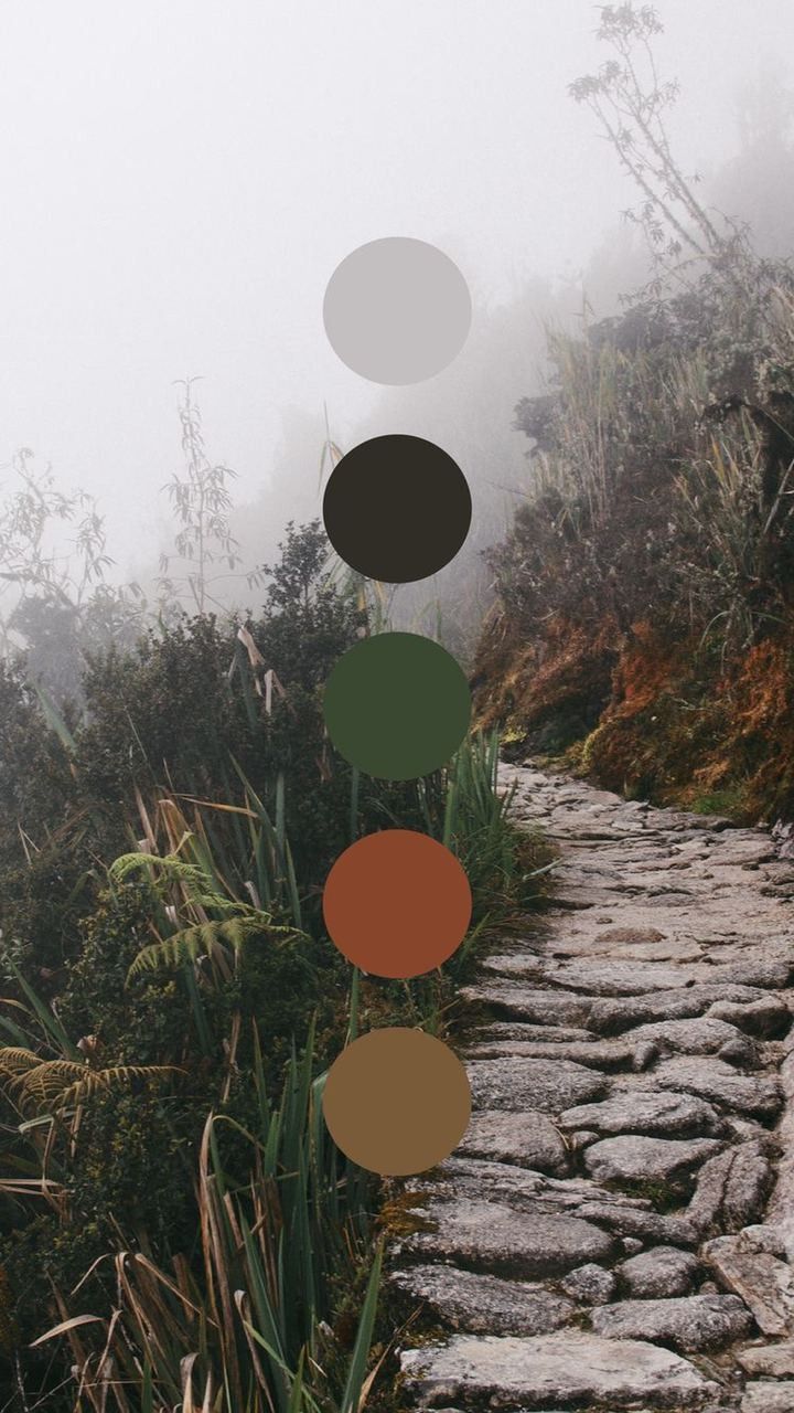Misty mountain path with stone steps and color palette dots overlaid.