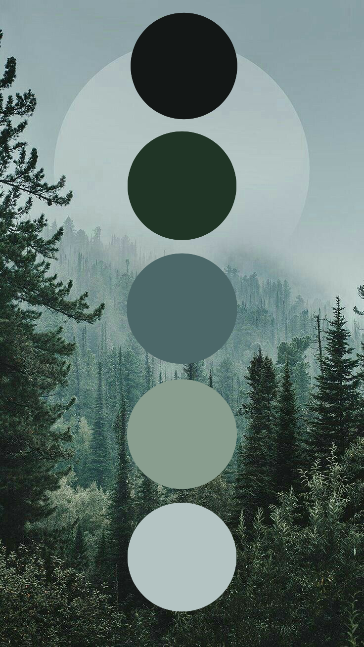 Monochromatic green and gray color palette circles against a misty forest mountain landscape.