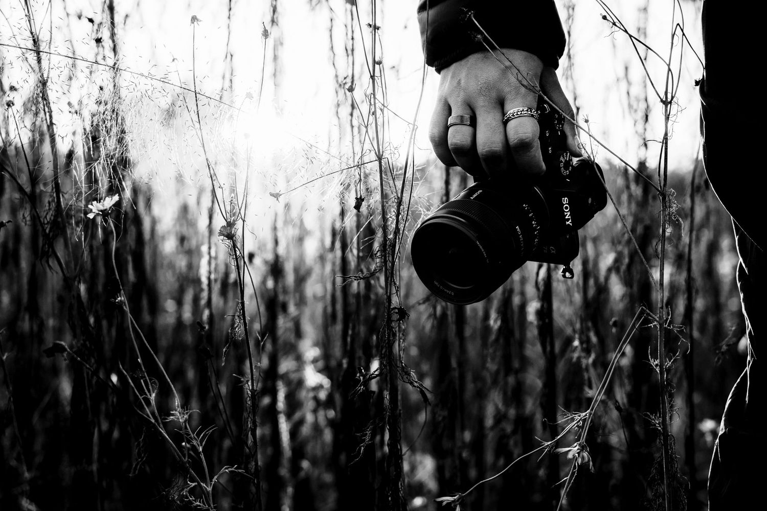 Black and white photo of hand holding camera lens against bright sky through branches.