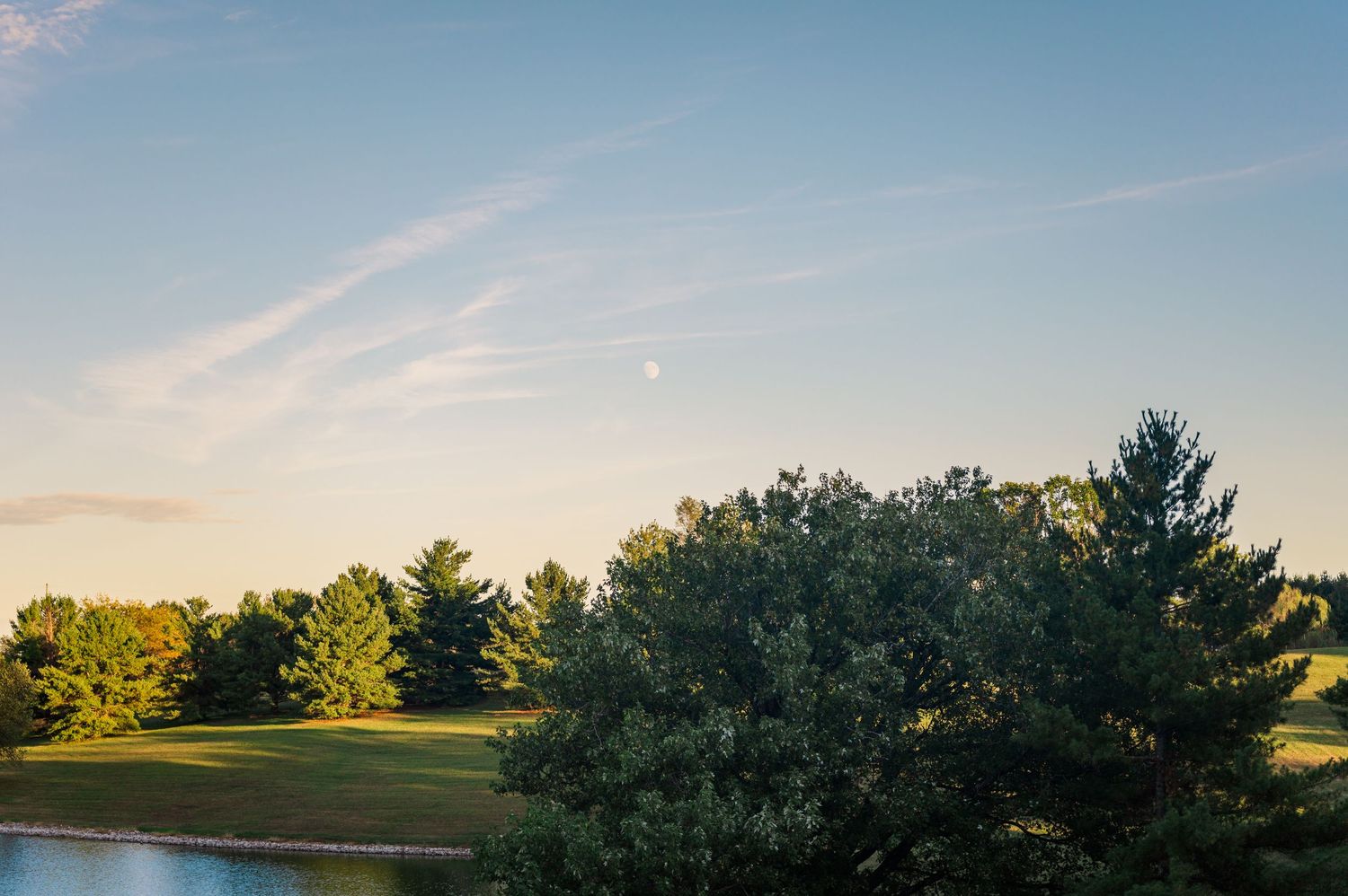 Landscape shot overlooking some trees with a sunset and the moon in the sky