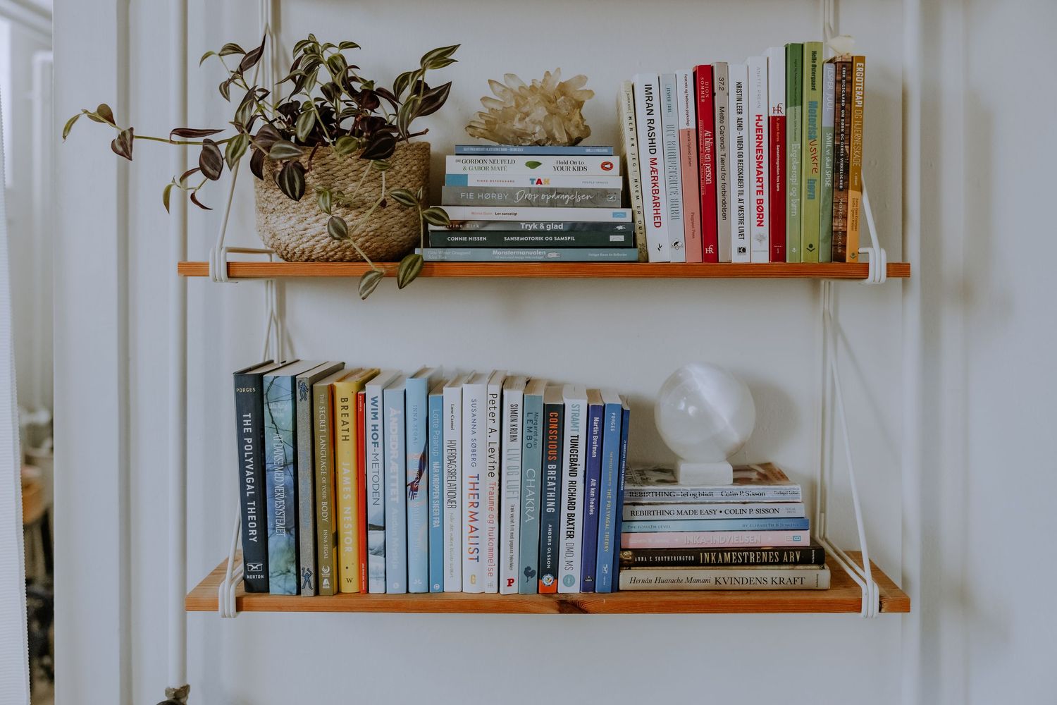 Two wooden floating shelves displaying books and potted plants against a white wall.