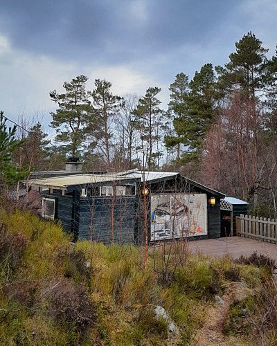 Modern dark wood cabin with sloped roof perched on a hillside among tall pine trees under moody skies.