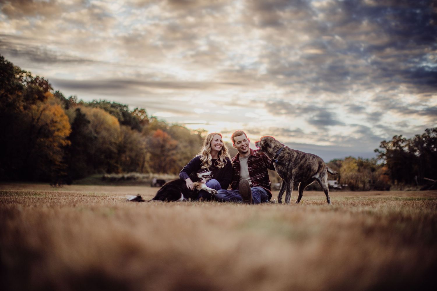 A family photo session with dogs joining the couple on an autumn field at sunset.