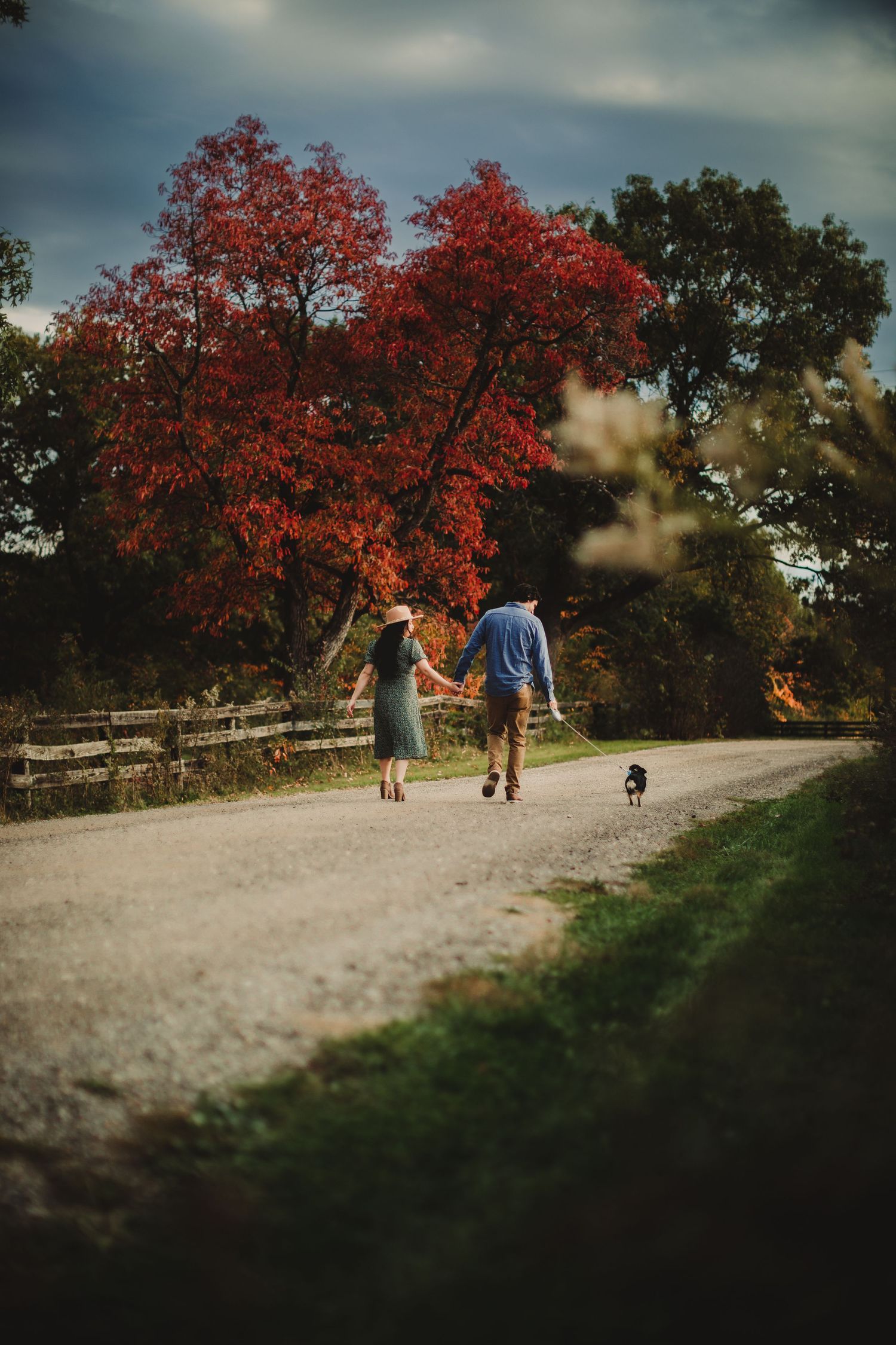 People and dog walking along gravel trail with red fall foliage.