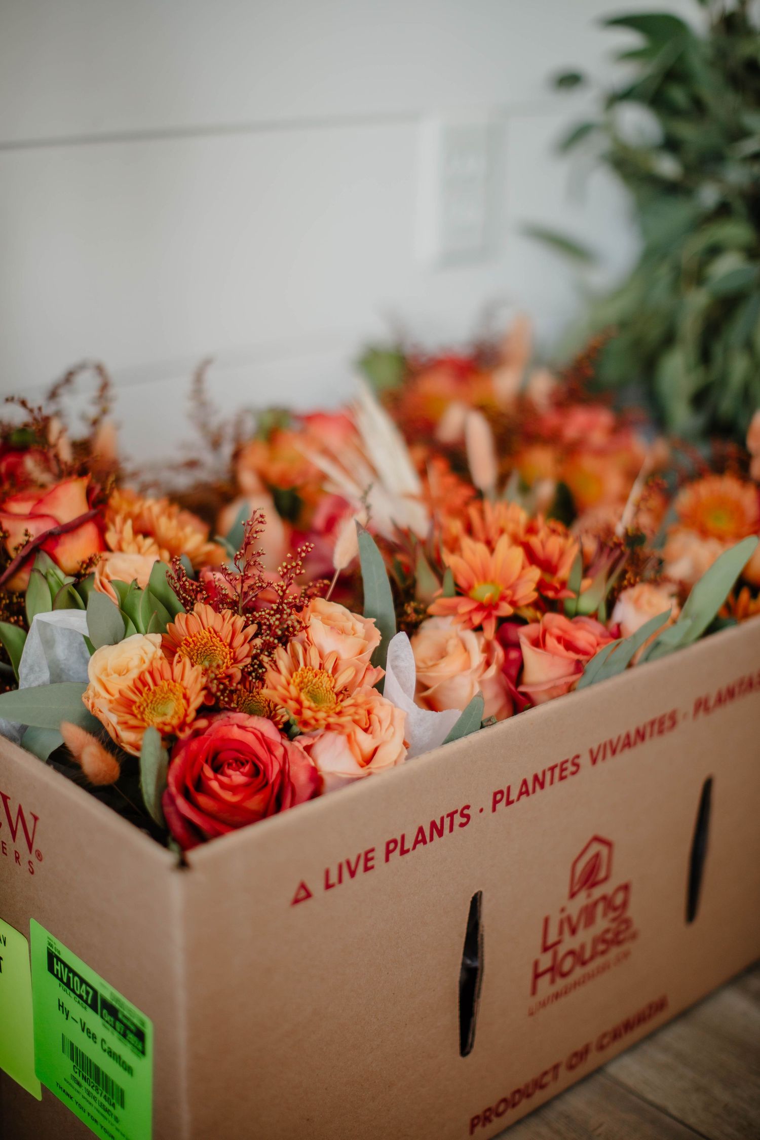 Box of vibrant orange and red flowers including roses and mums with green foliage.
