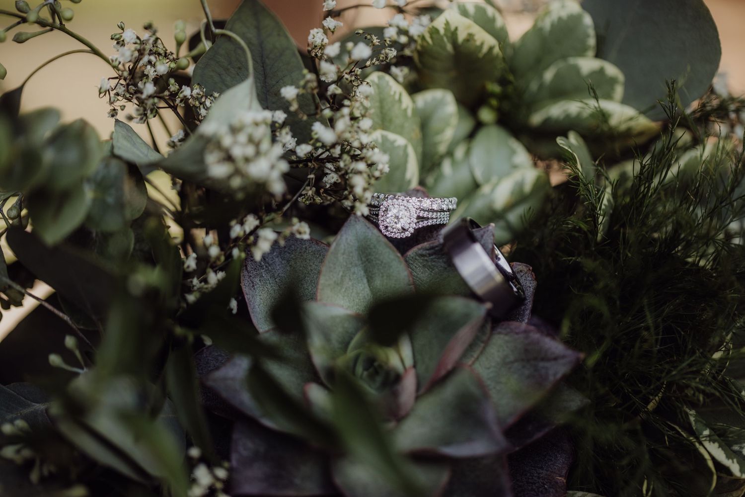 Wedding rings nestled among succulent plants and baby's breath flowers.