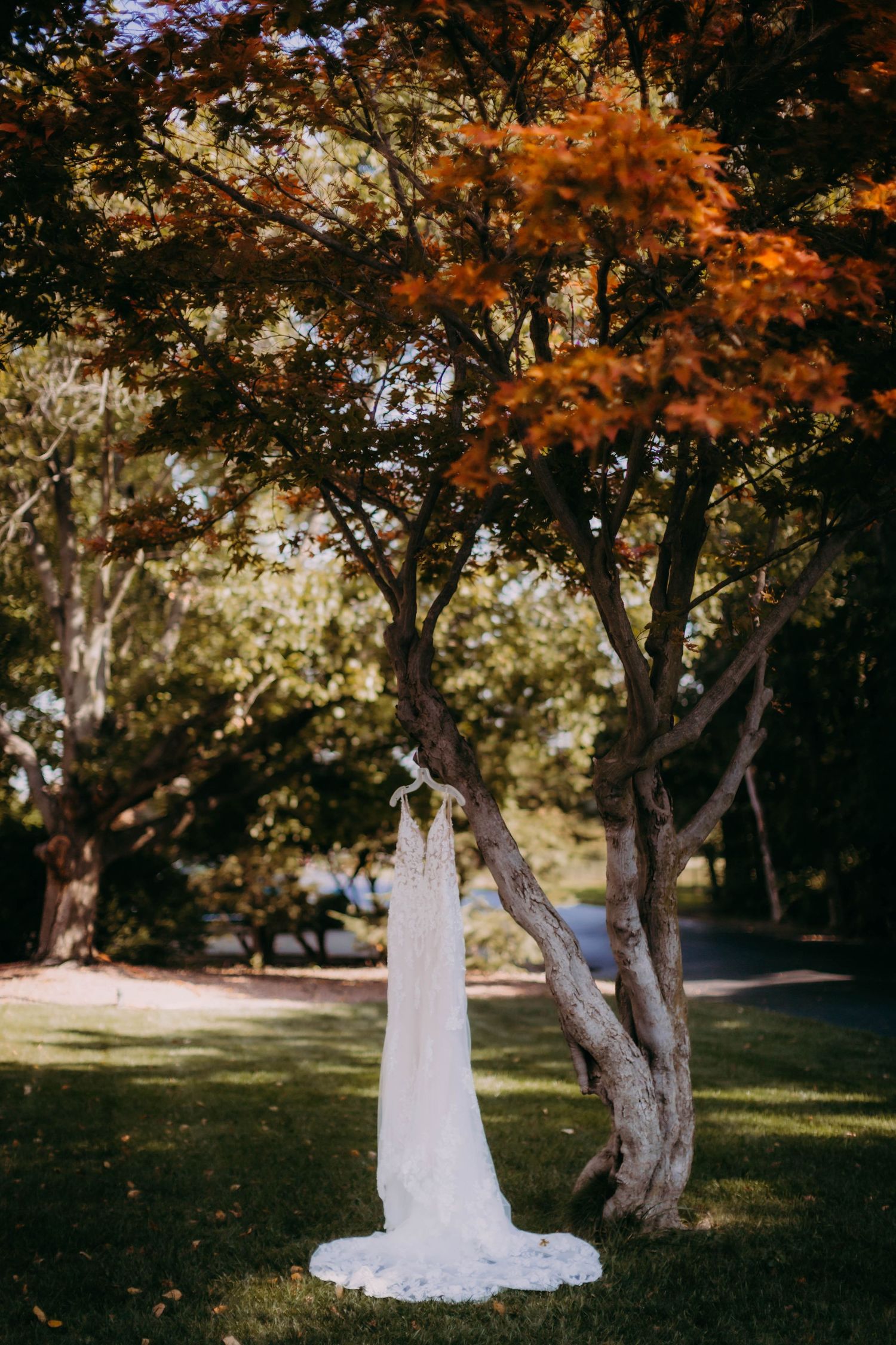 White wedding gown displayed on a tree against autumn foliage.