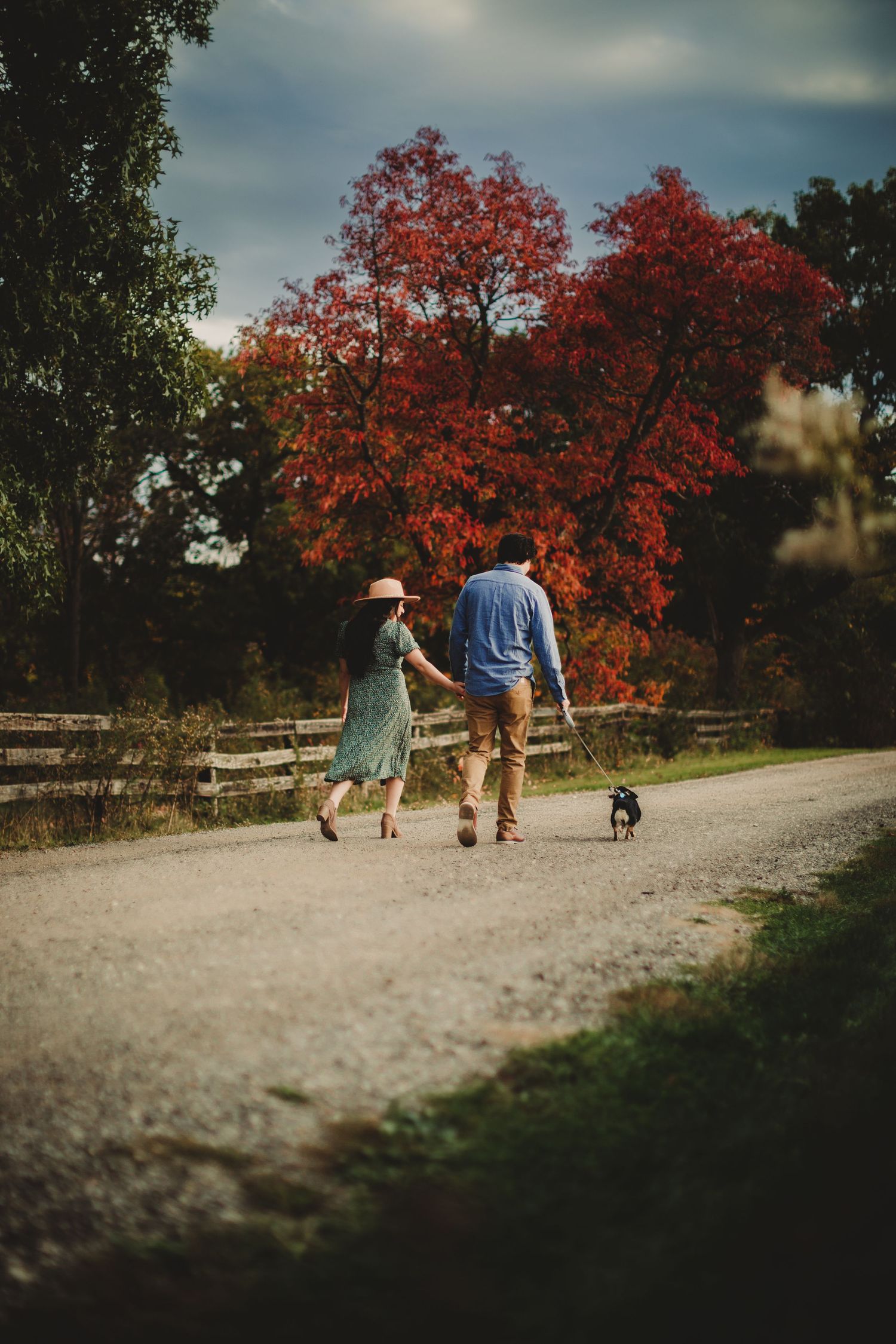 Couple walking dog on gravel path with vibrant red autumn trees.