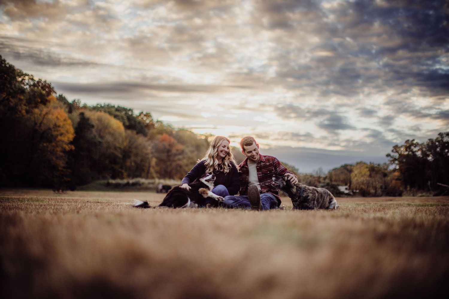 A couple relaxes with their dogs on a grassy field during a dramatic cloudy sunset.