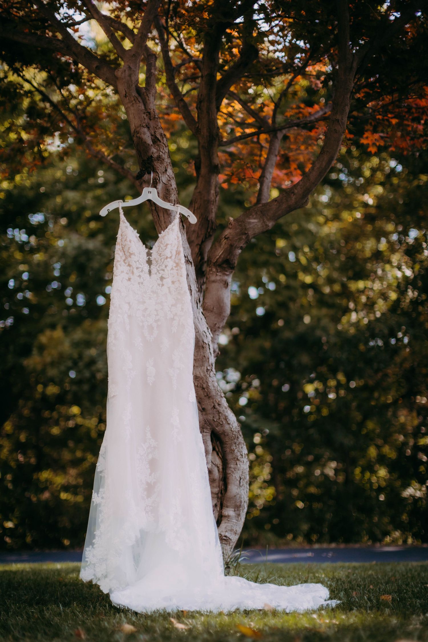 Elegant white lace wedding dress hanging from a tree branch in golden sunlight.