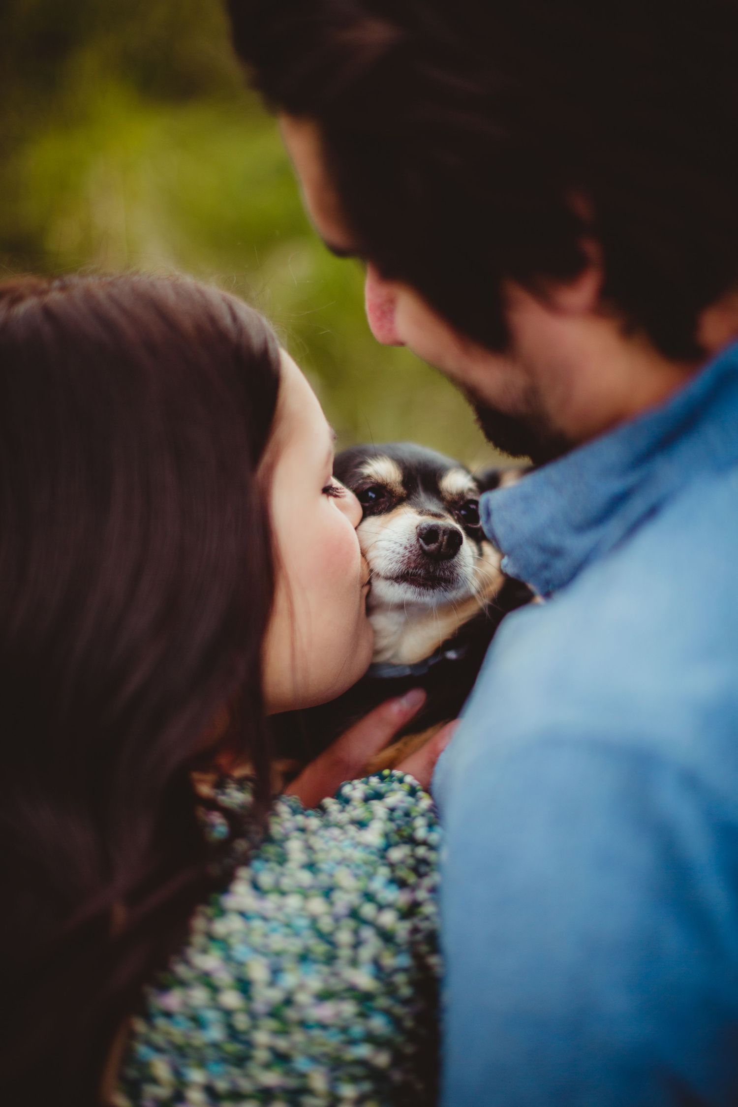 Small chihuahua dog receiving kisses while wearing patterned outfit.