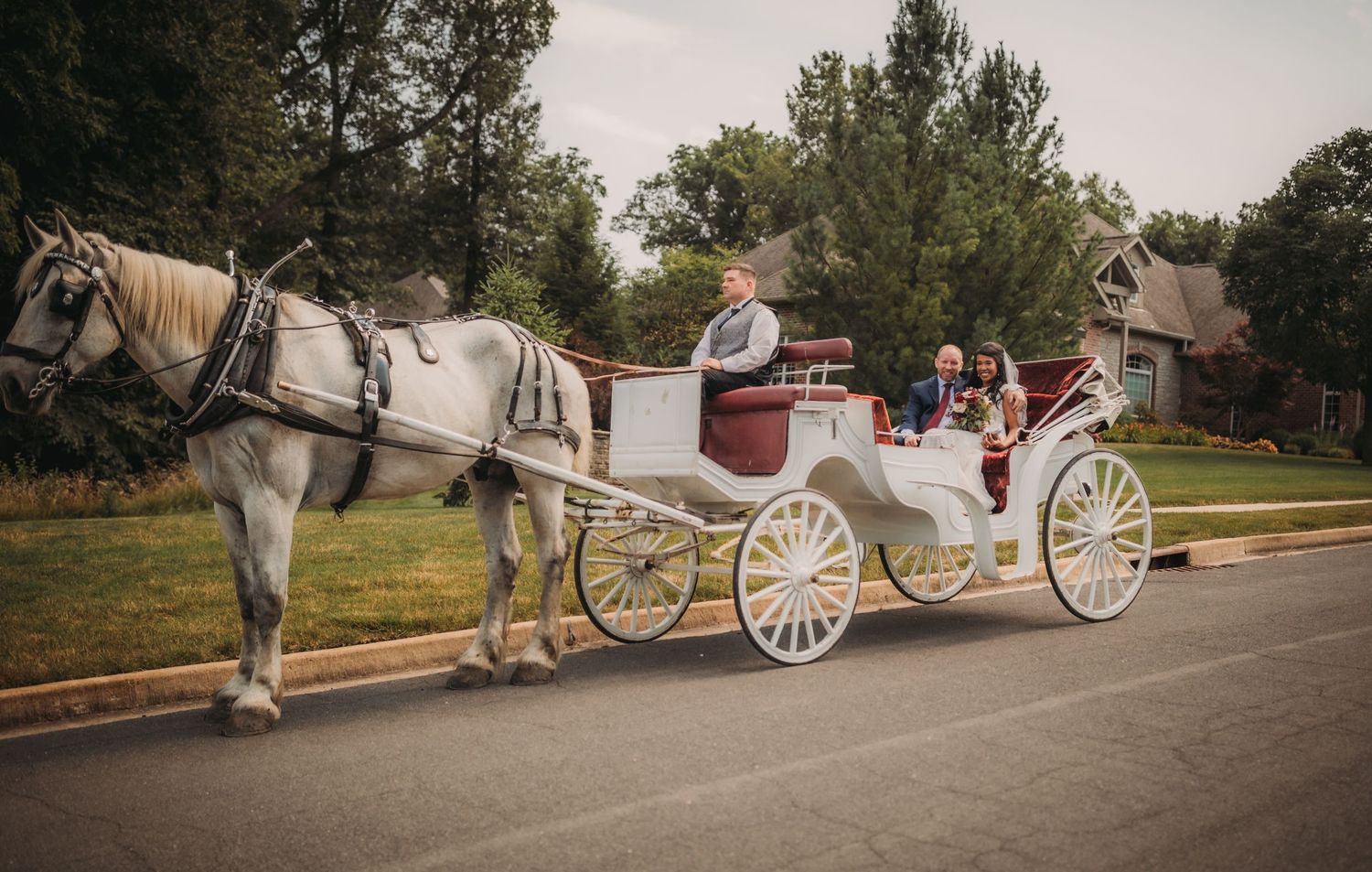 A white horse-drawn carriage decorated for a wedding awaits on a tree-lined street.