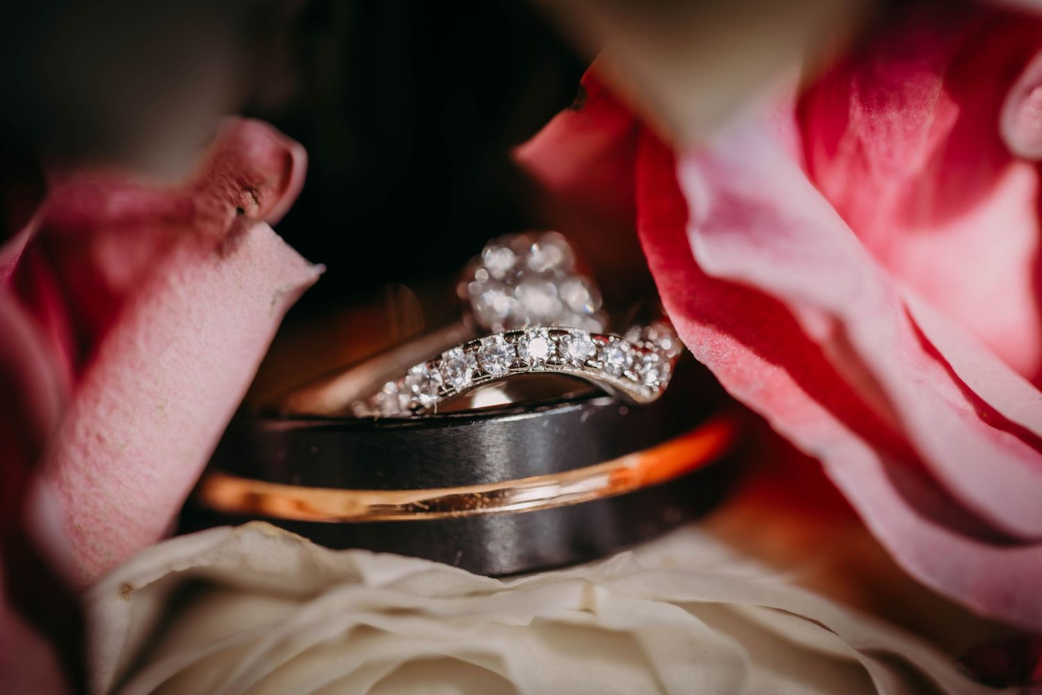 Wedding rings nestled among pink rose petals in an artistic macro shot.
