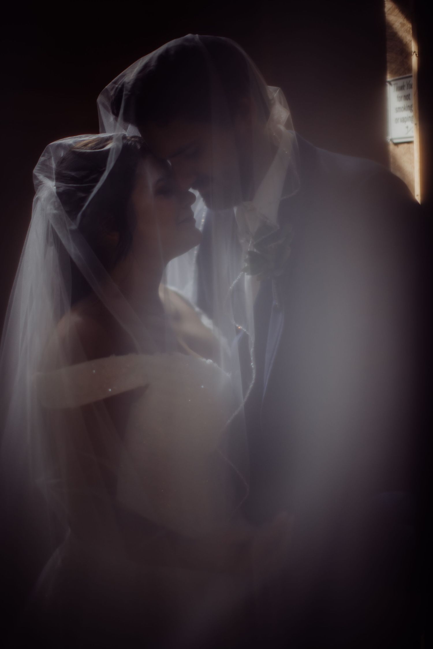Dreamy wedding portrait with soft light filtering through a bridal veil.