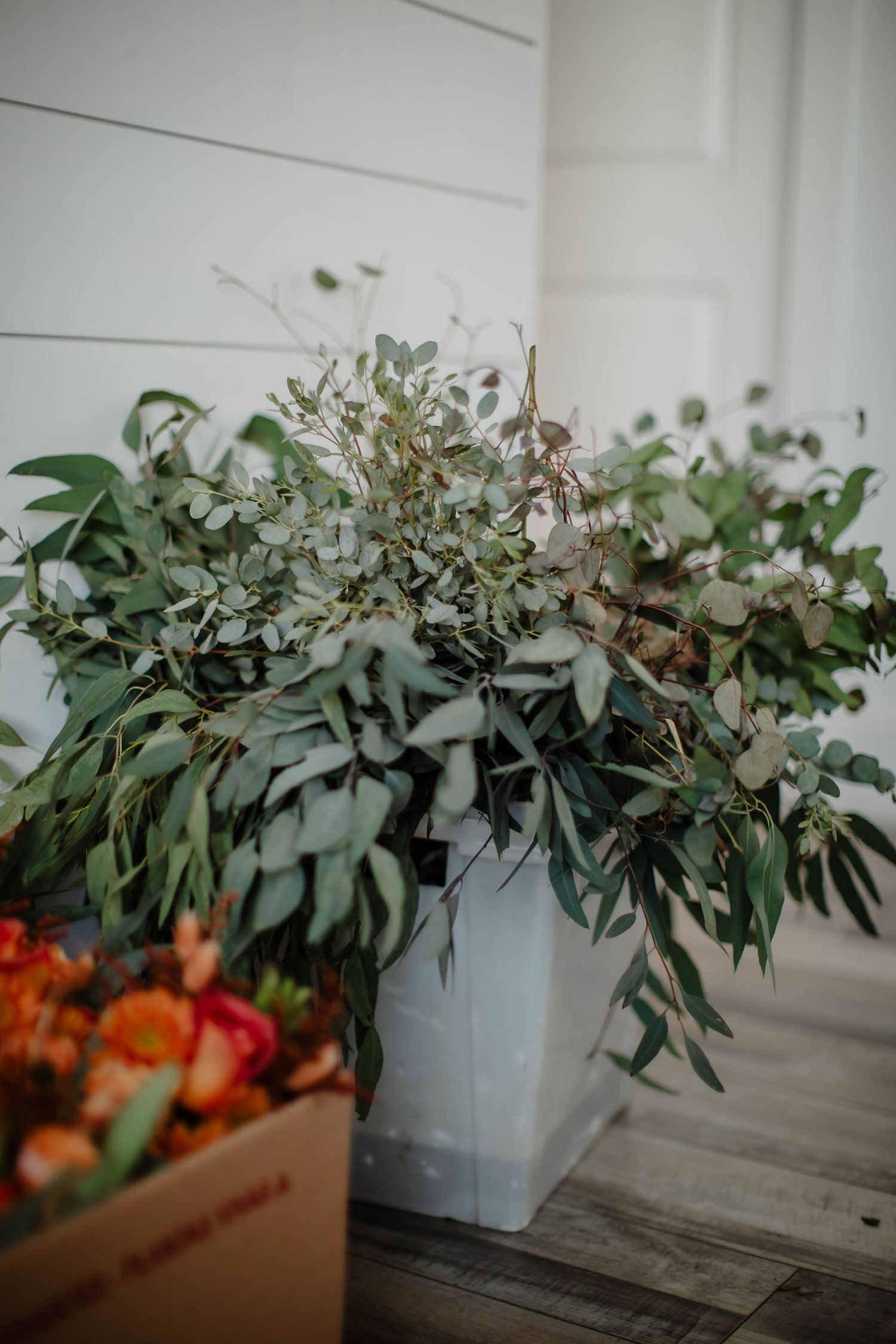 Lush eucalyptus and greenery arrangement in white container next to floral box.