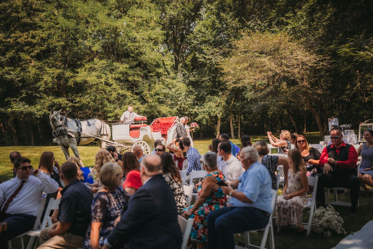 Wedding guests gather outdoors at a sunny ceremony venue surrounded by lush trees and greenery.