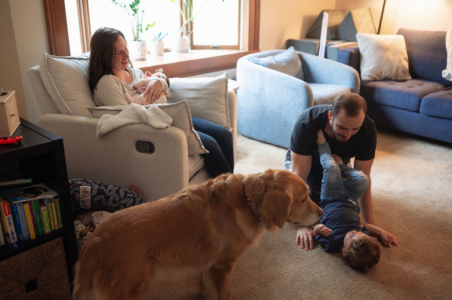Dad plays with toddler while mom holds newborn in cozy Westerville home session. Golden retriever watches.