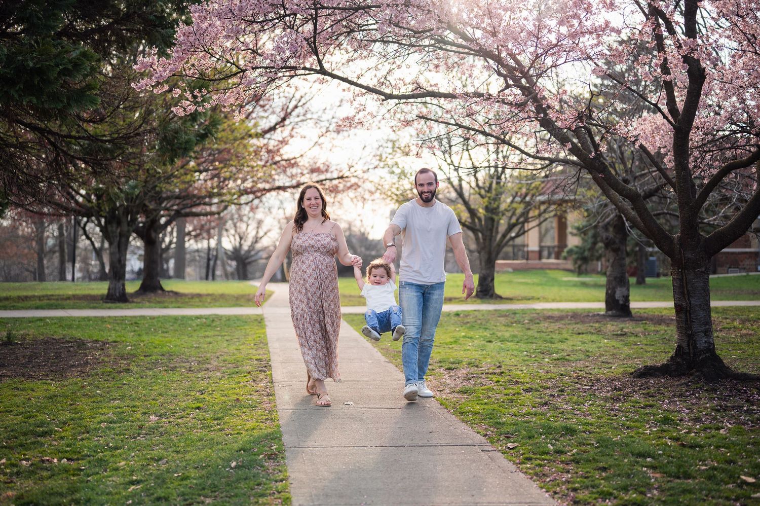 A joyful family walks under blooming cherry trees, swinging their toddler between them on a sunlit path.