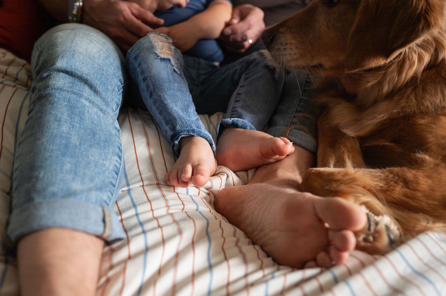 Bare feet and jeans on a cozy bed during an in-home family session with their golden retriever.