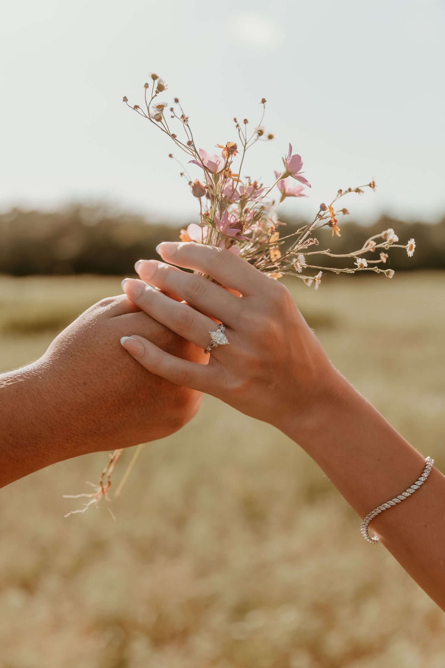Two hands gently hold delicate pink wildflowers against a warm sunset background in a romantic outdoor setting.
