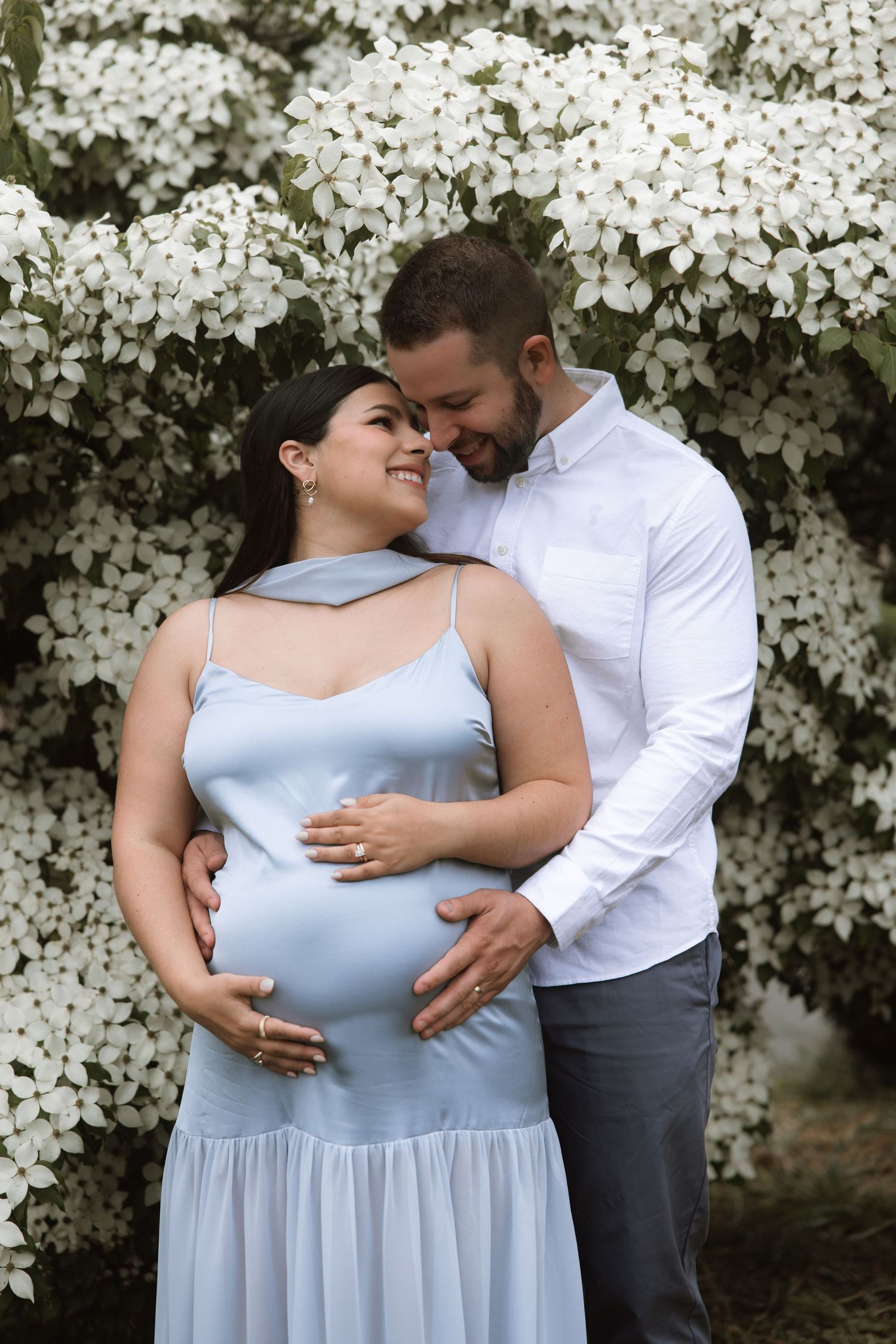 A romantic maternity photo session in front of blooming white flowers.