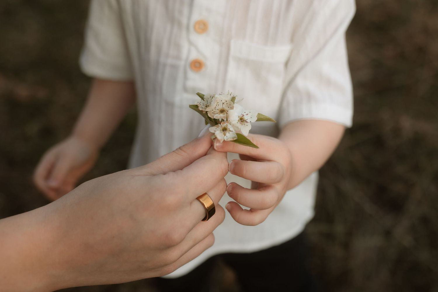 Close-up of hands holding delicate white spring flowers.