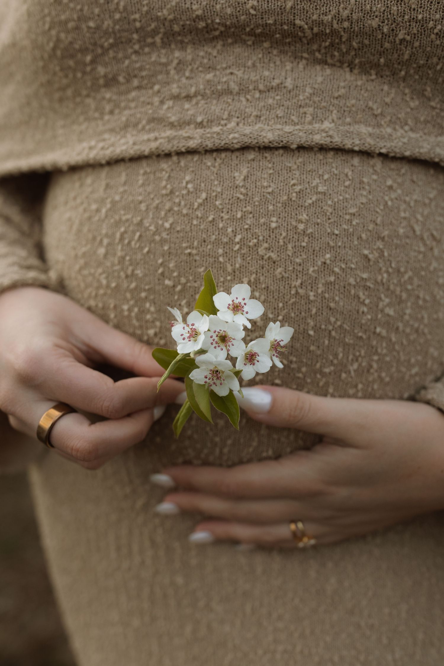 Close-up of hands holding delicate white spring blossoms against beige knit fabric.