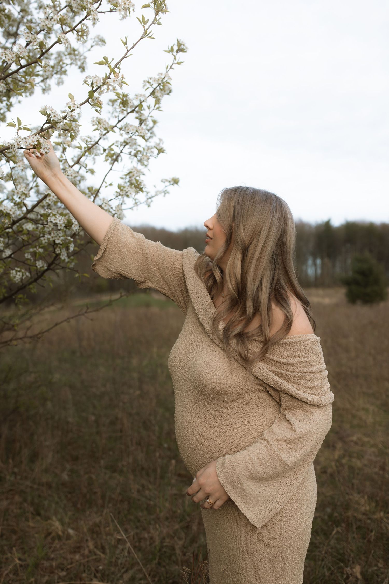A maternity portrait in a beige sweater reaching up to touch blooming tree branches.