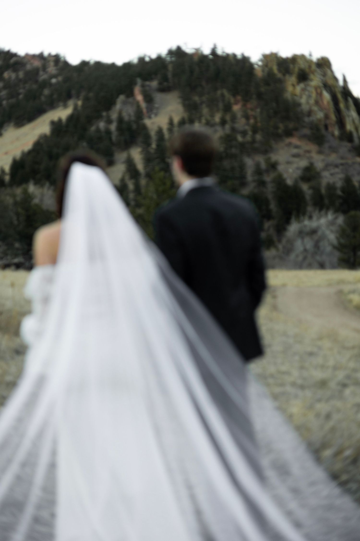 A bride in a flowing veil and groom stand together looking at a mountainous landscape.