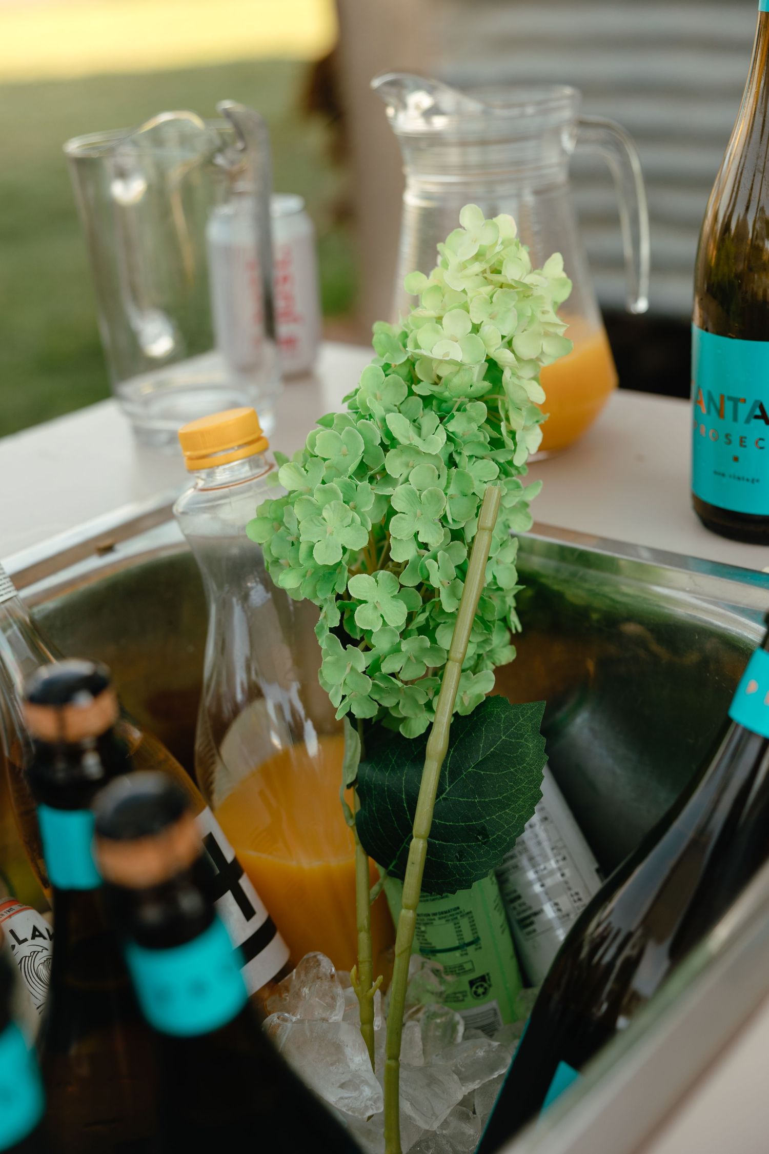 Green hydrangea flower stem rests among glass bottles and beverages with turquoise labels on an iced drinks tray.