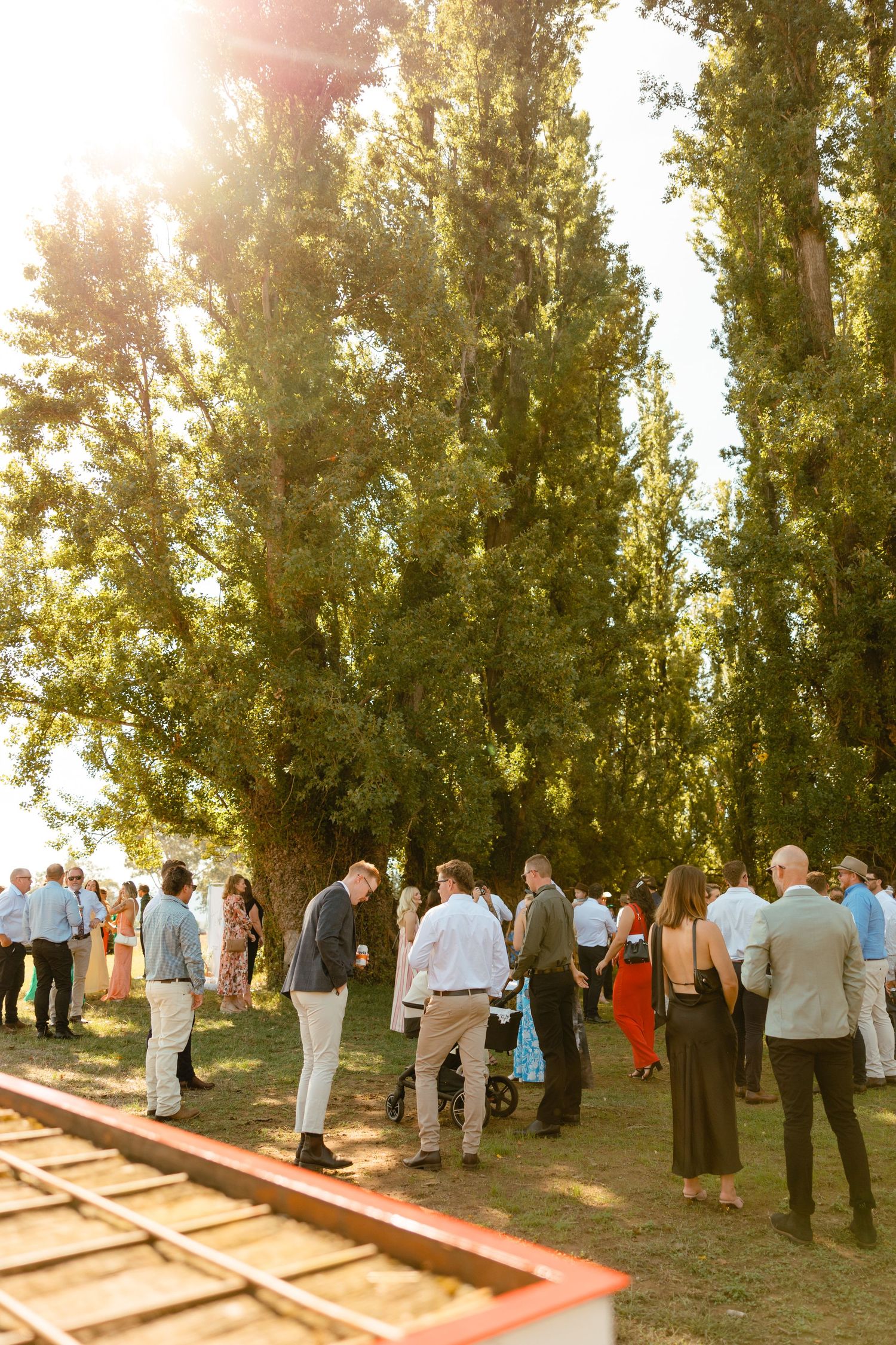 A group of people gathered outdoors at sunset beneath tall poplar trees for a social event on a grassy area.