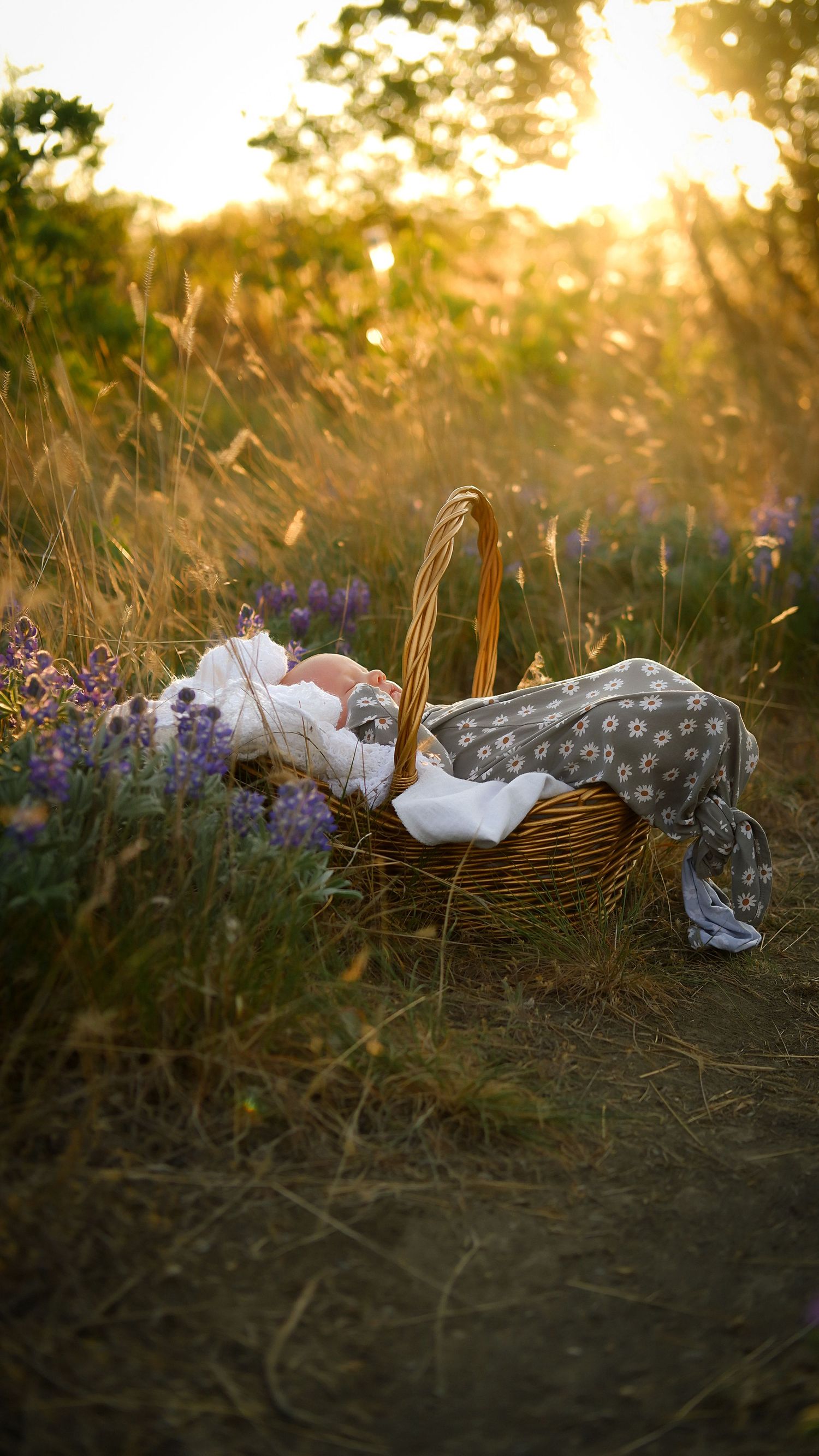 Sunset newborn photography outside in Alberta