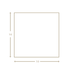 A minimal square diagram showing equal sides of 10 units with thin brown outline.