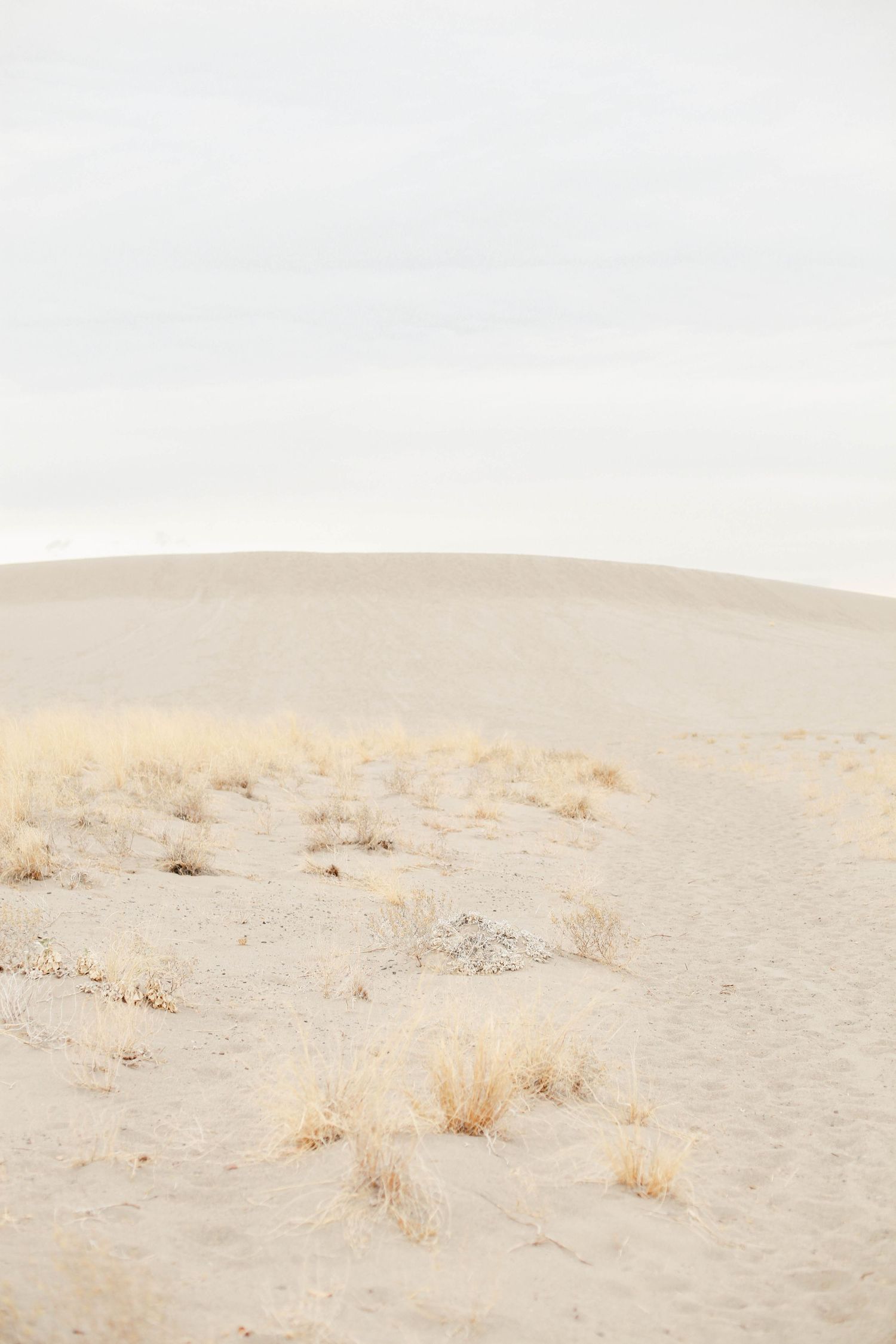 Desert landscape with sparse vegetation and rolling sand dunes under an overcast sky.