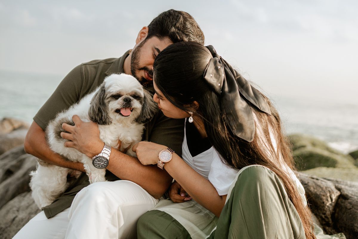 Couple cuddling with their small white dog on rocky coastal outcrop at sunset.