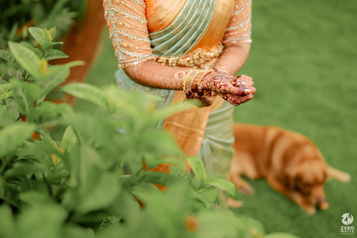 A retrieving dog explores the garden while someone in an orange and mint saree holds traditional jewelry.
