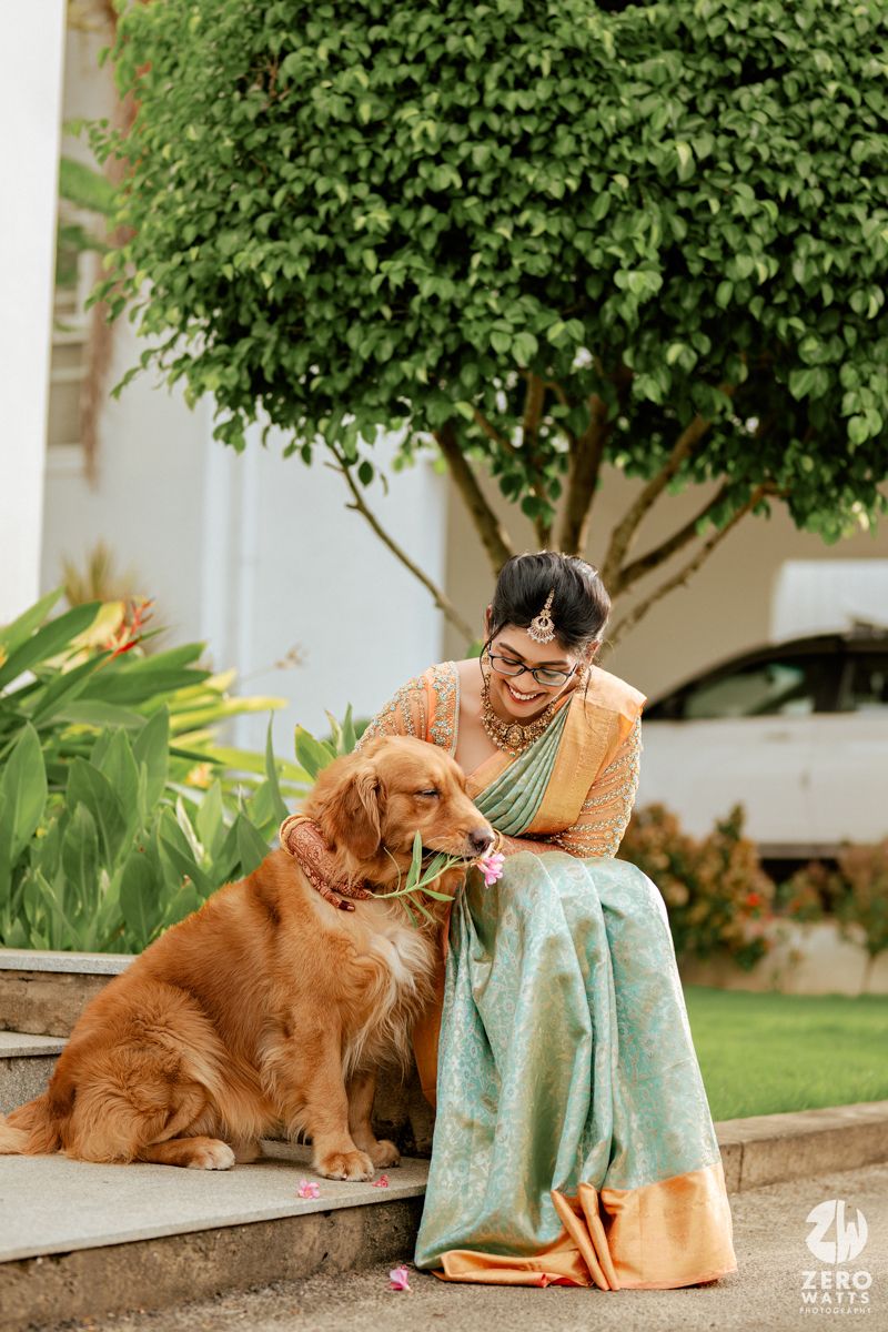 A golden retriever dog rests on a porch while being lovingly petted by someone wearing a traditional silk saree.
