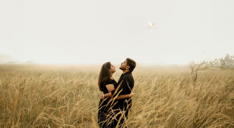 A couple embraces romantically in a sunlit golden field of tall grass during twilight.