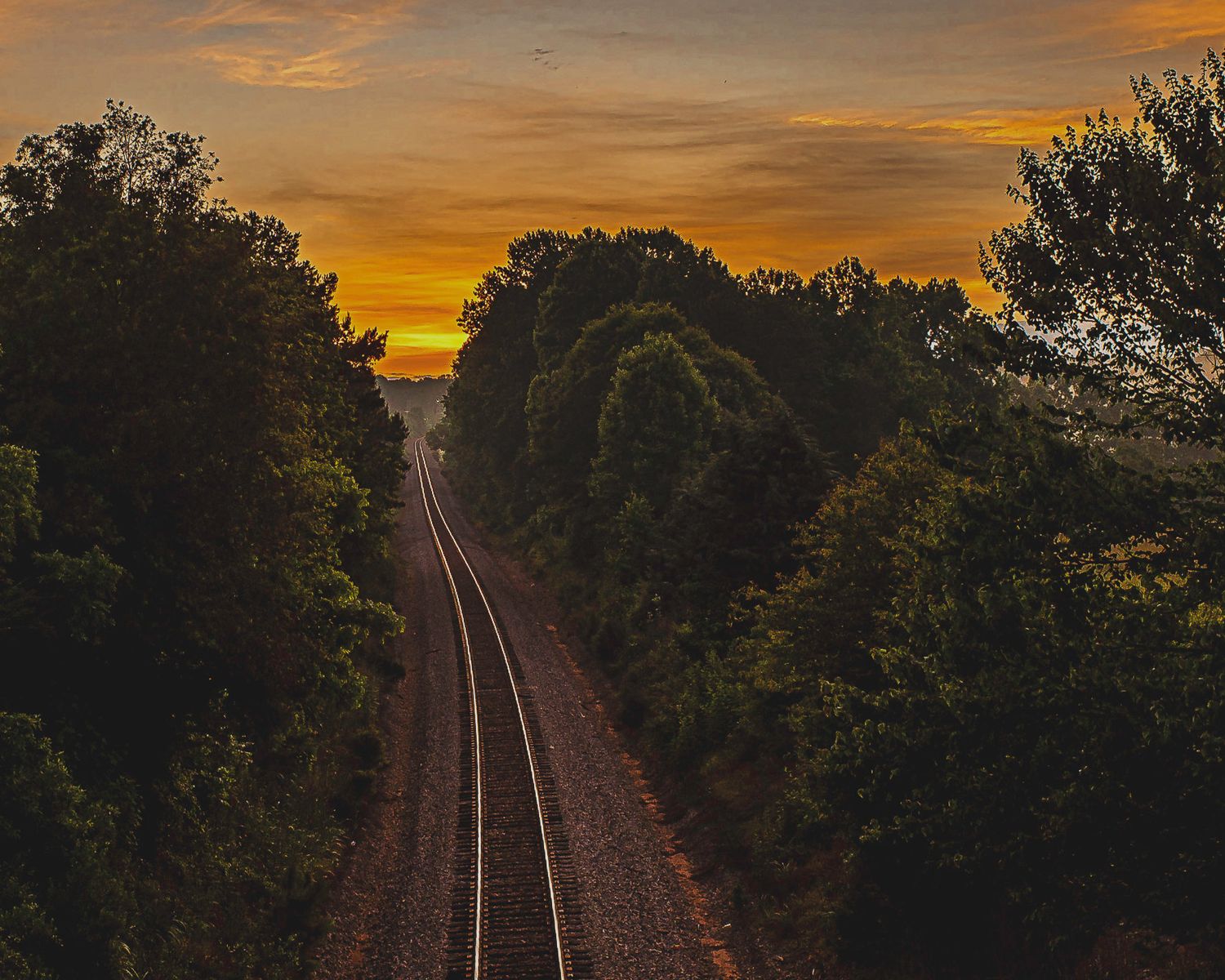 Railroad tracks stretch into the distance through a tree-lined corridor at sunset with vibrant orange sky overhead.