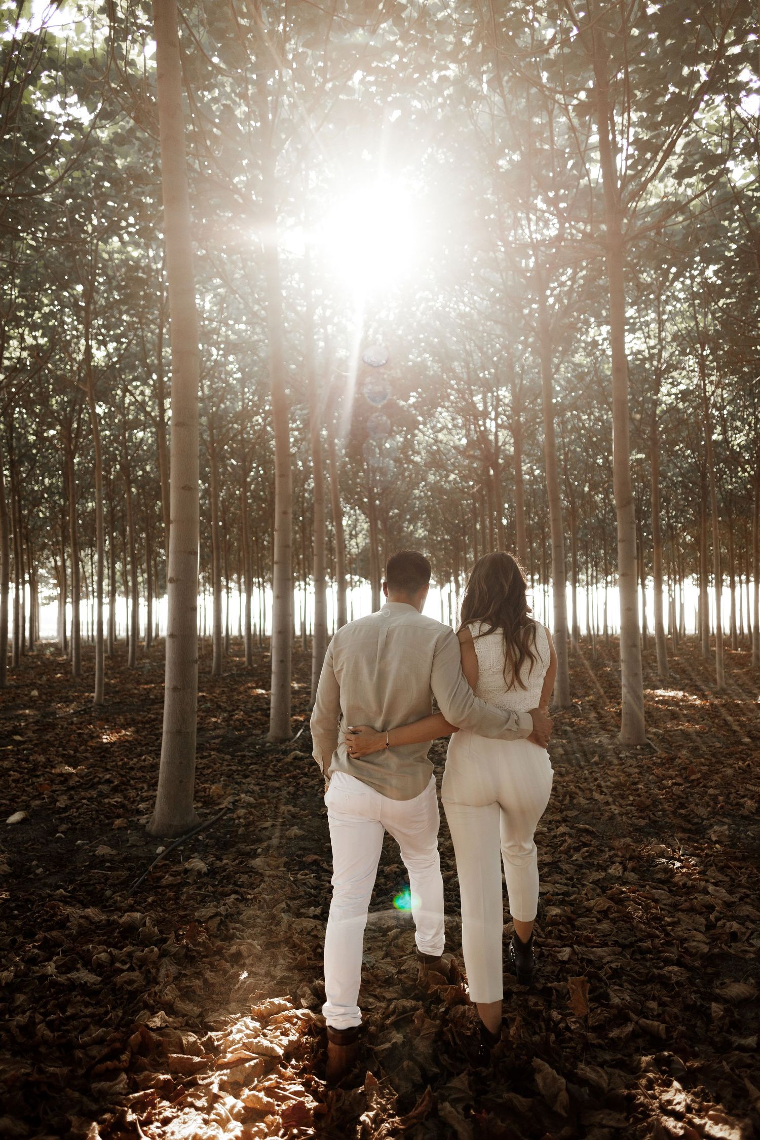 Puglia - couple - prematrimoniale - sessione di coppia - natura - bosco - piantagione di Paulonia - wedding photographer