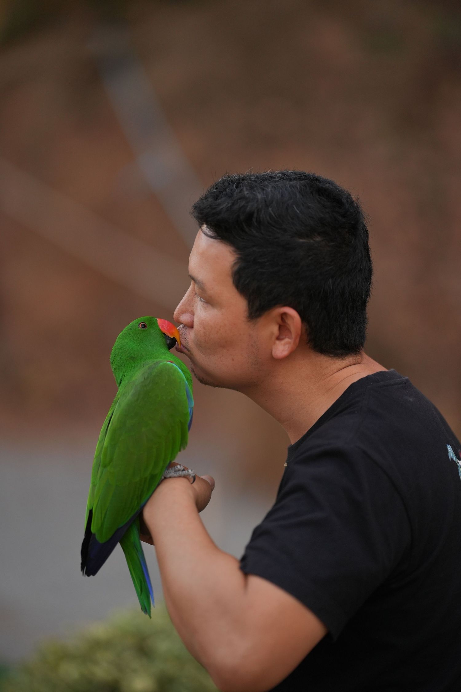 A bright green parrot shares a tender moment with someone in a black t-shirt against a blurred background.