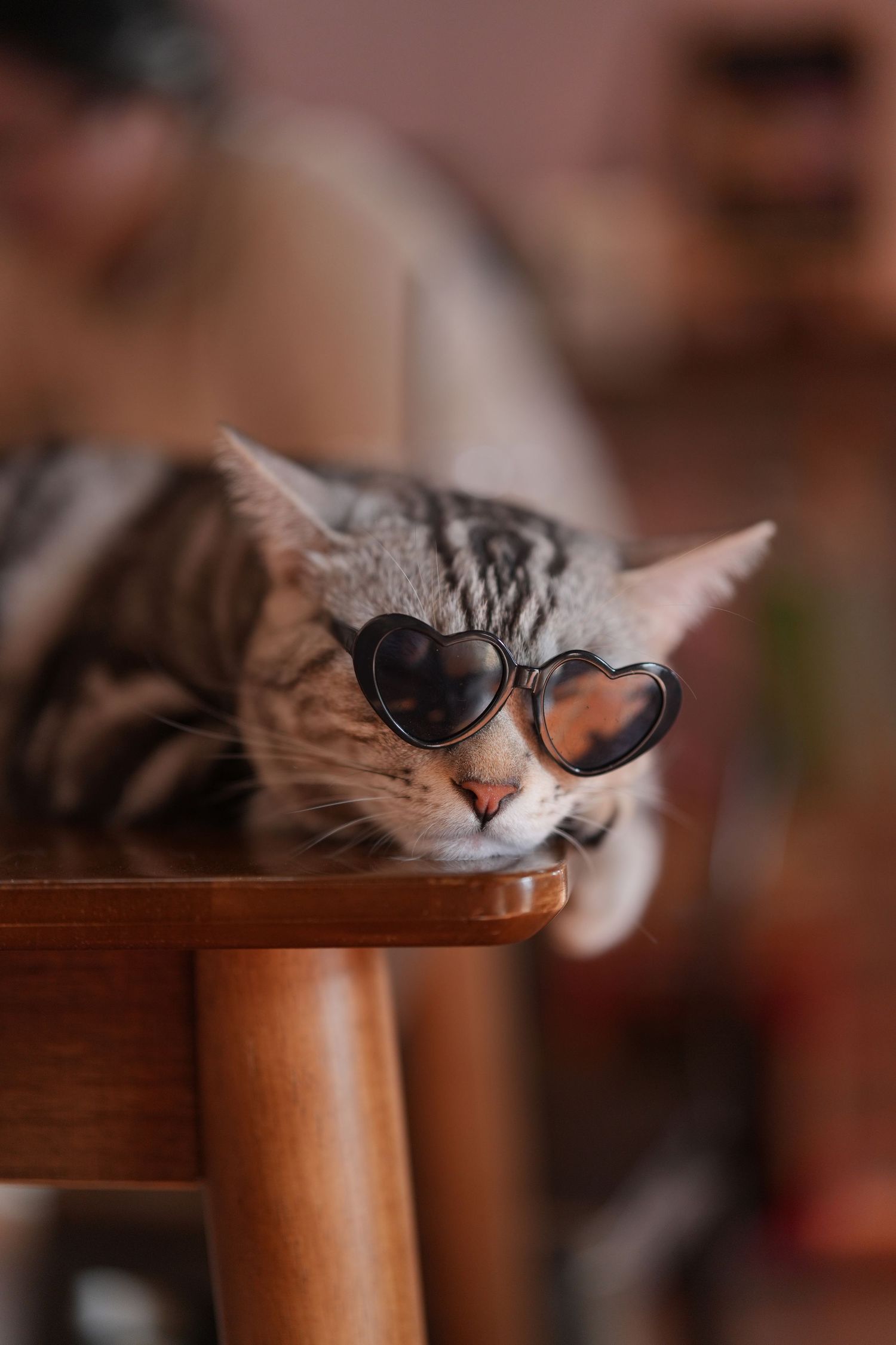 A sleepy tabby cat wearing heart-shaped sunglasses rests its head on a wooden surface in a cozy indoor setting.