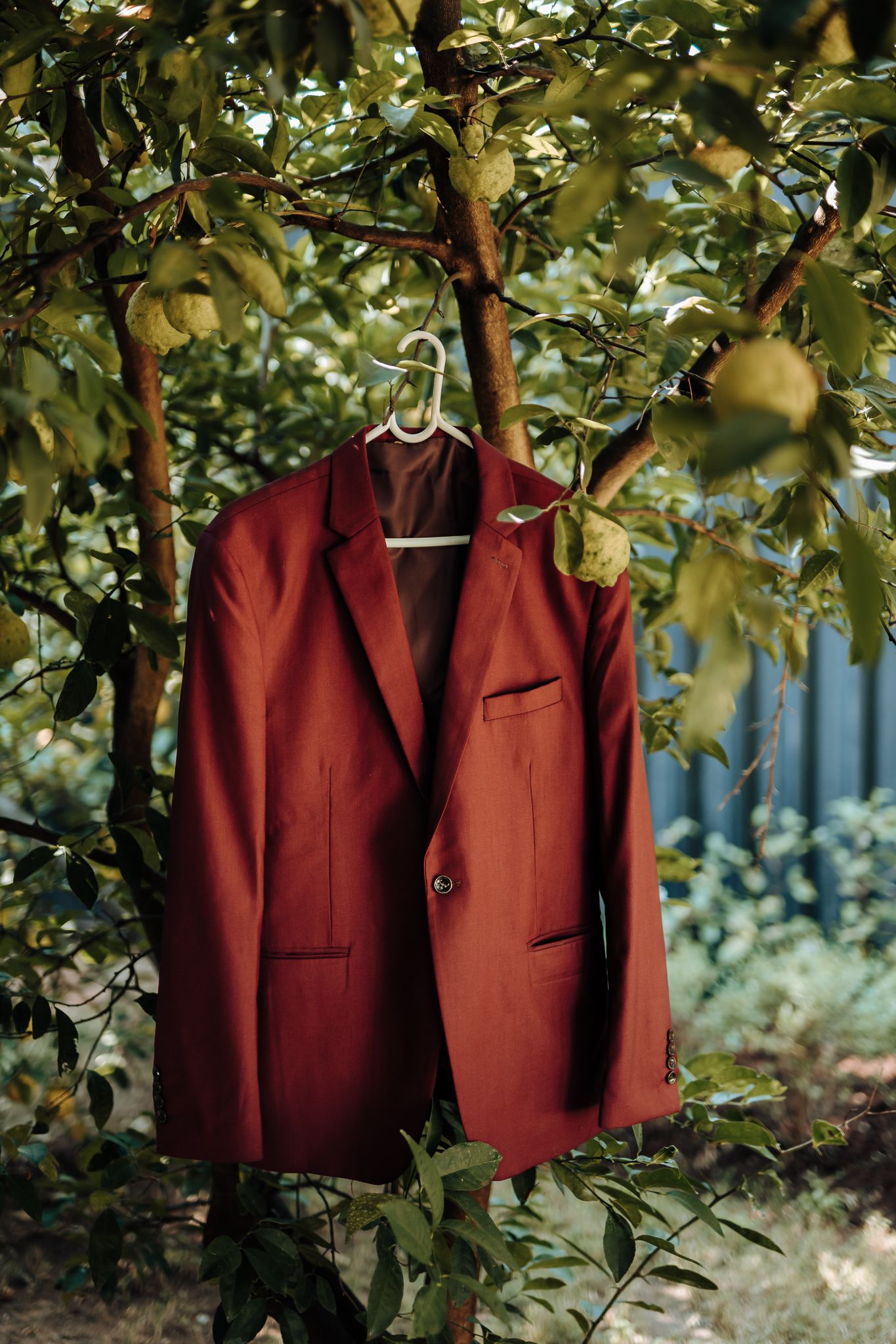 A burgundy suit jacket hangs elegantly on a hanger among green tree branches with pears.