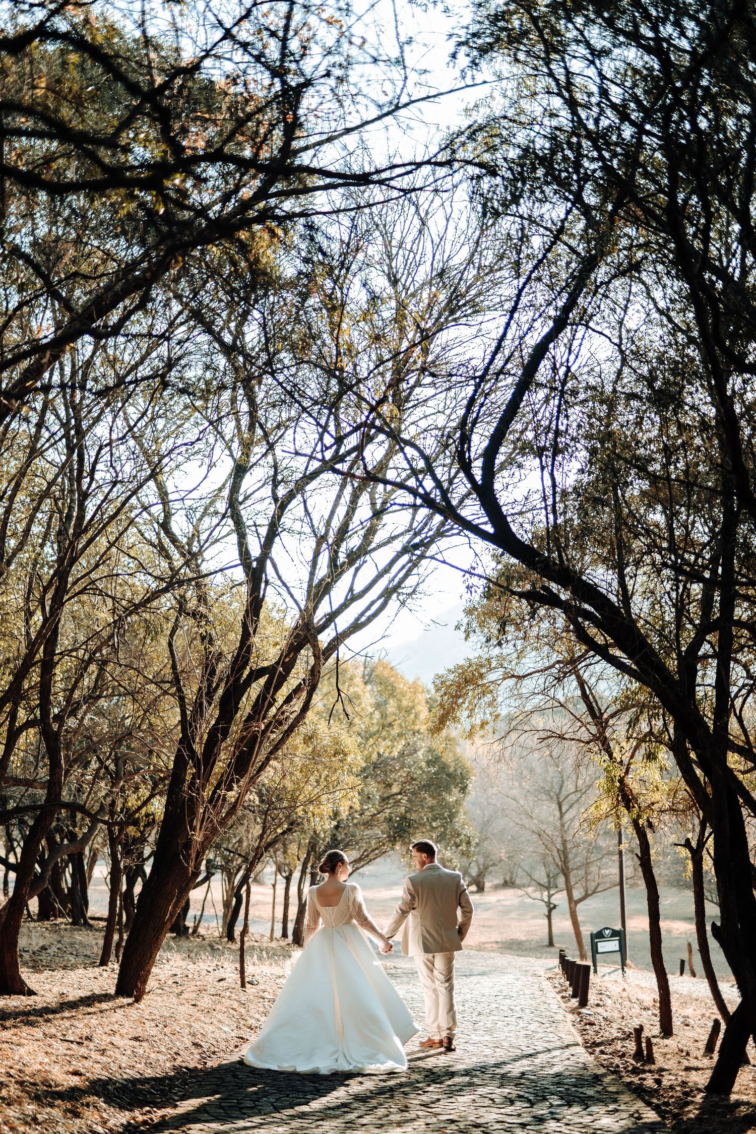 Newlyweds stroll together on winding path through sunlit woodland grove.