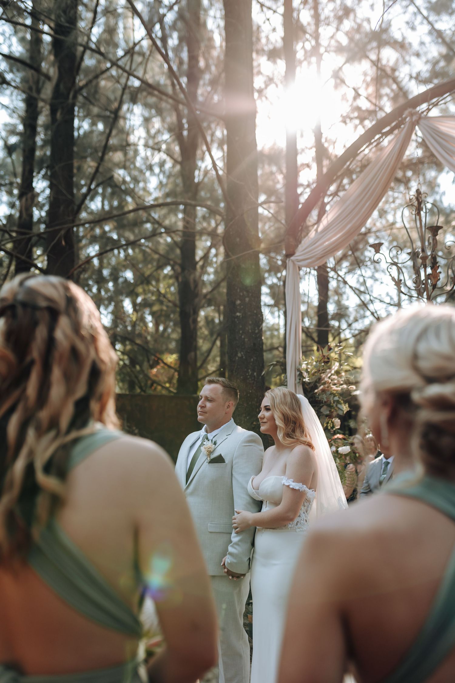 Forest wedding ceremony with soft sunlight streaming through tall pine trees.