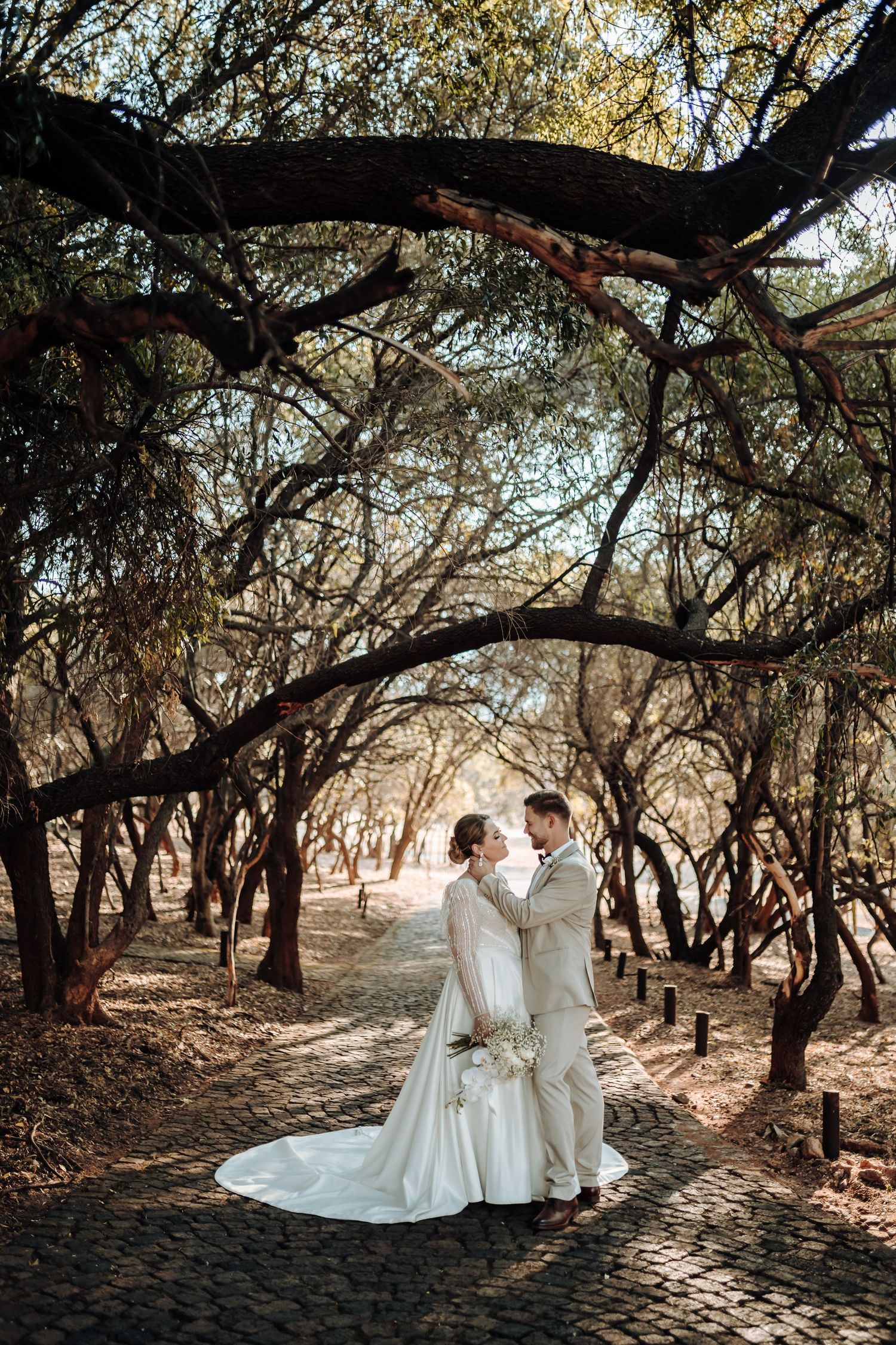 Elegant wedding couple poses on cobblestone path under arching tree branches.